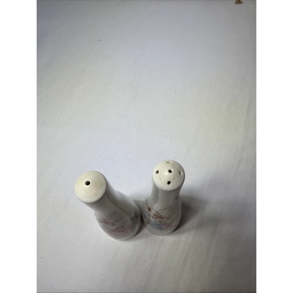 Old Foley James Kent Ltd Salt And Pepper Shakers Floral Pattern Vintage England